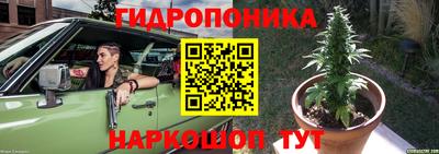 прущие грибы Малоярославец