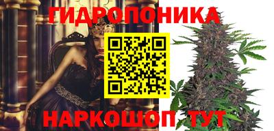 тгк Лесосибирск