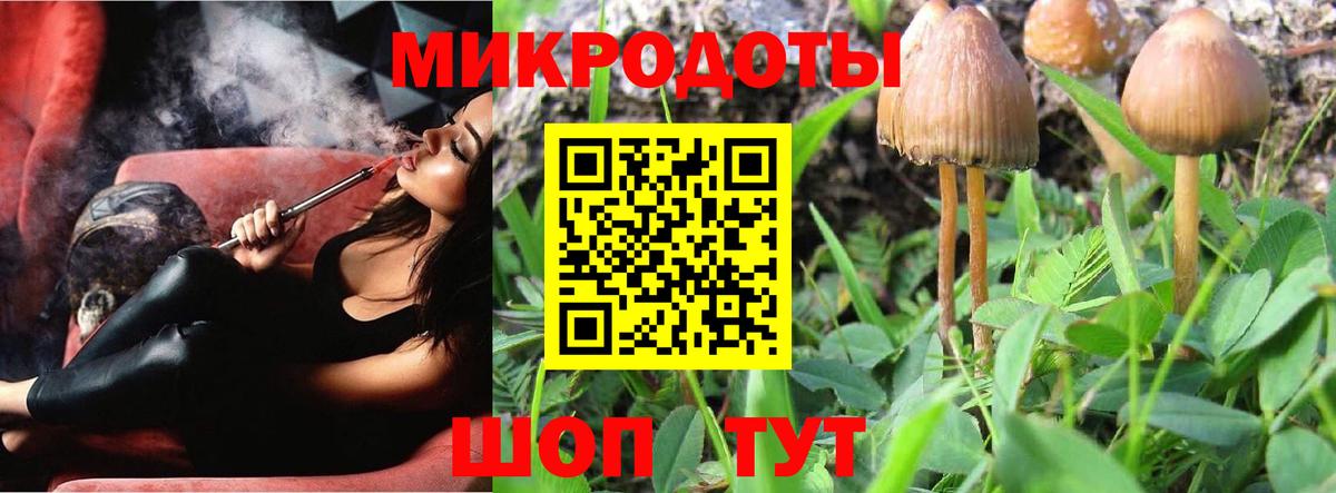 магазин продажи   Вход с VPN  Волгоград  Псилоцибиновые грибы Cubensis 