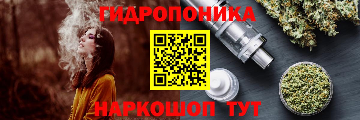 Бошки Шишки планчик Волгоград
